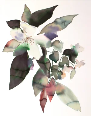 "Anemone No. 10" Contemporary Original Botanical Flowers Watercolor Painting by Elizabeth Becker
