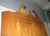 20th Century Early American Solid Cherry Corner Storage Cabinet For Sale - Image 4 of 8
