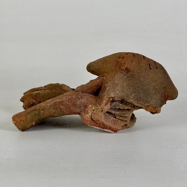 Vintage Broken Off & Salvaged Terracotta Head of a Ram, Sculptural Decor For Sale - Image 9 of 9
