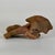 Vintage Broken Off & Salvaged Terracotta Head of a Ram, Sculptural Decor For Sale - Image 9 of 9