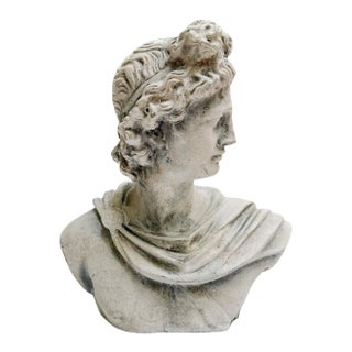 Late 20th Century Classical Apollo of Belvedere Concrete Bust For Sale