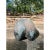 Tony Evans Evans Studio Raku Ceramic Pottery Bear Sculpture For Sale - Image 9 of 12