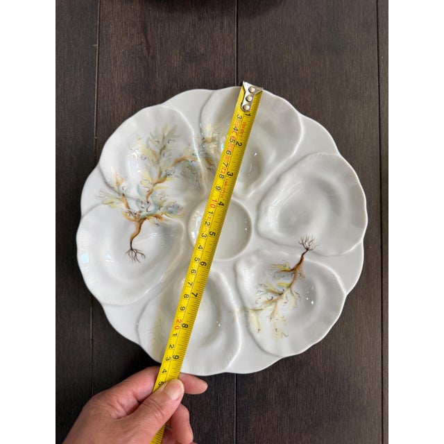 Late 19th Century French Le Chambrelain Porcelain Hand-Painted Seaweed Oyster Plates - Set of 8 For Sale - Image 13 of 13