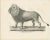 Paper Majestic Barbary Lion Standing in Profile, 1836, Lithograph For Sale - Image 7 of 11