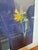 Isabel Wyatt Midnight Daffodil Original Painting, Signed For Sale - Image 4 of 12