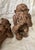 2000 - 2009 CBK Set of "See No Evil" Monkeys For Sale - Image 5 of 7