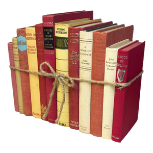 Decorative Books - Vintage Carnation Book Bundle - 1 Foot of Pink and Cream Books