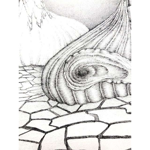 Early 21st Century Gochka Charewicz - Herbarium - Original Signed Lithograph For Sale - Image 5 of 9