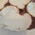 Late 19th Century Antique Haviland Limoges Oyster Plate For Sale - Image 5 of 18