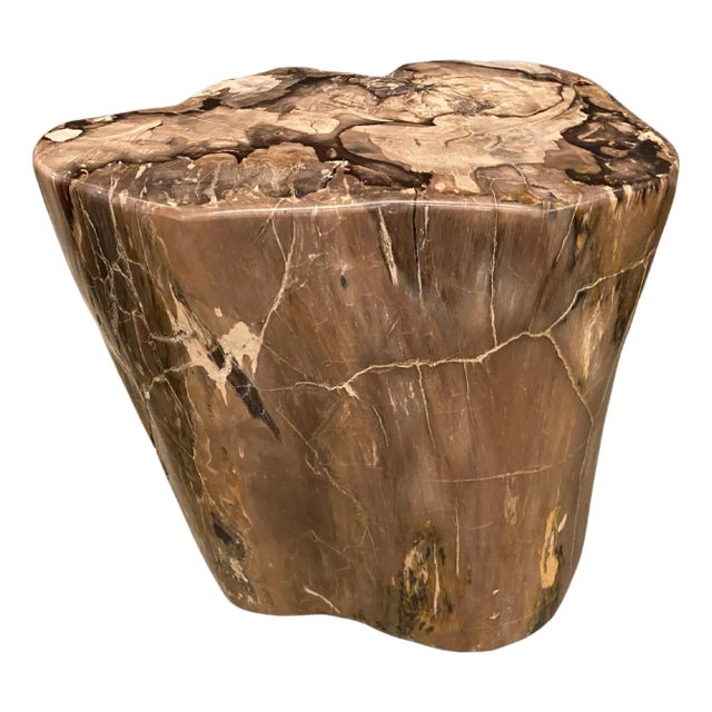 Andrianna Shamaris High Quality Petrified Wood Side Table For Sale
