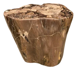Andrianna Shamaris High Quality Petrified Wood Side Table
