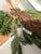 RAZ Imports 6' Mixed Greenery Garland with pine cones. Brand new! Never used! still has tags. 16 strands of Garland....
