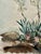Original watercolor on paper by Henry Emil Salloch, also known as Heinz Emil Salloch, the German-born American artist and...
