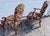 Late 20th Century Century Furniture Chippendale Style Carved Mahogany Armchairs With Ball & Claw Feet a Pair For Sale - Image 5 of 11