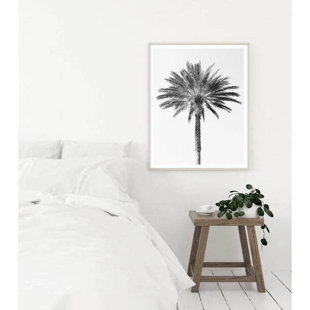 'Palm Tree' Art Print, Large Contemporary Minimalist Black and White Fine Art Photograph, Tropical Coastal Wall Art, 30 X 45" Photography Print For Sale - Image 4 of 8