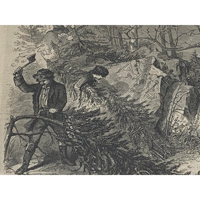 Mid 19th Century Winslow Homer "Gathering Evergreens" London Illustrated News Engraving C.1850 For Sale - Image 9 of 12