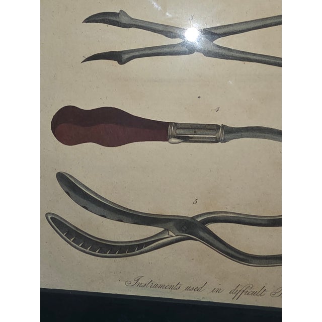 Green Hand Colored Medical Tools Engraving For Sale - Image 8 of 9