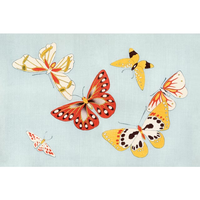 Japanese Butterflies, Vintage Art Print Reproduction, 60" X 40" For Sale