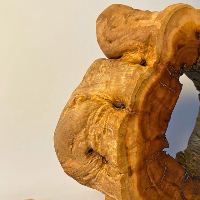 Sandalwood & Lightning-Struck Wood Sculptural Altar of Time & Cloud For Sale - Image 6 of 9