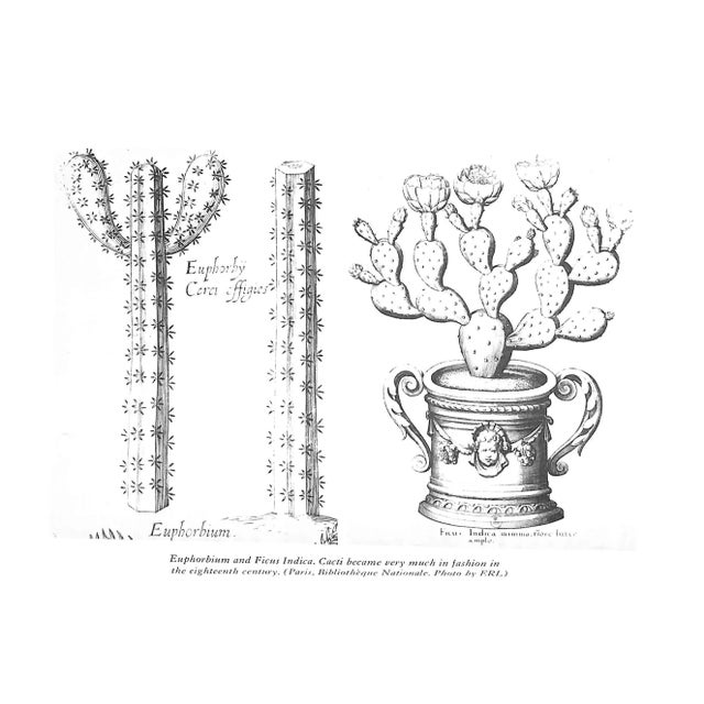 "The King's Garden" Book 1982 Duval, Marguerite For Sale In New York - Image 6 of 10