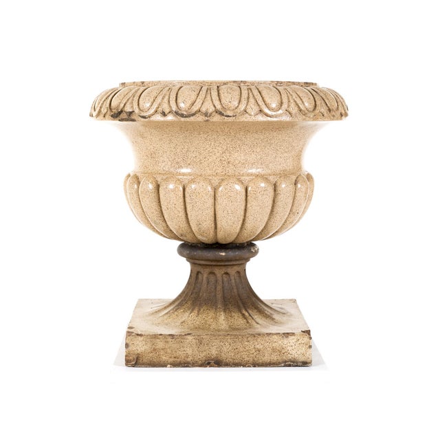 A proud 19th century neoclassical urn which features a traditional gadrooned body with egg and dart detailing to the rim....