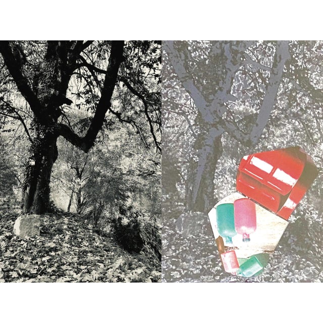 Jean-Claude Byandb, Arbres-Chimie Duo, 2021, Photograph on Paper For Sale