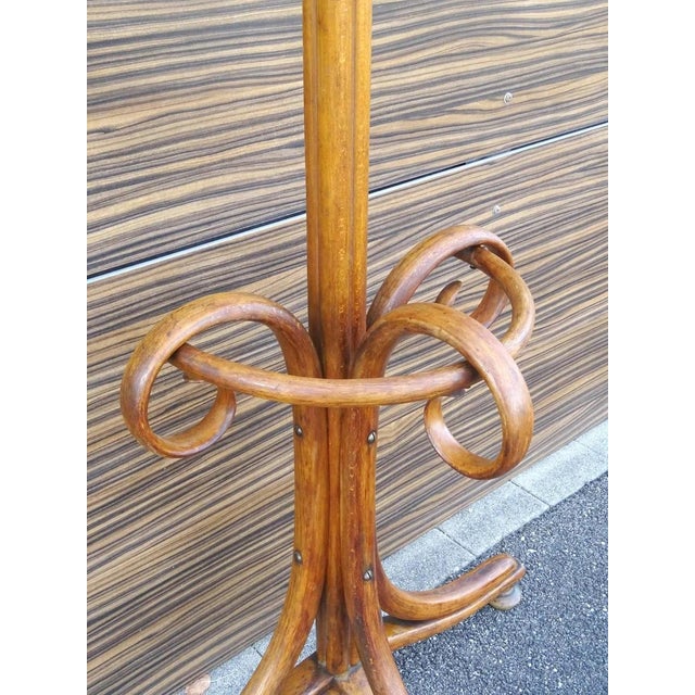 Wall-Mounted Coat and Umbrella Rack from Jacob & Josef Kohn, 1905 For Sale - Image 3 of 9