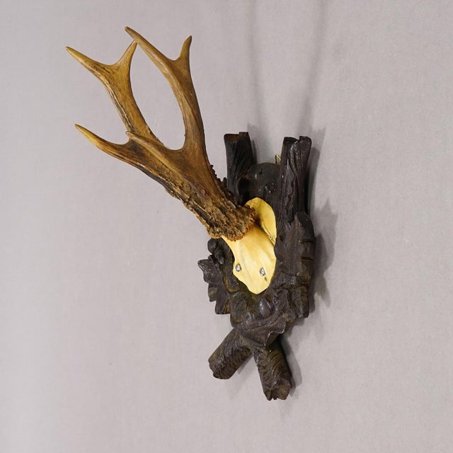 Rustic European Antique Red Deer Trophy on Carved Plaque, Black Forest, Germany 1900 For Sale - Image 3 of 5