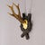 Rustic European Antique Red Deer Trophy on Carved Plaque, Black Forest, Germany 1900 For Sale - Image 3 of 5