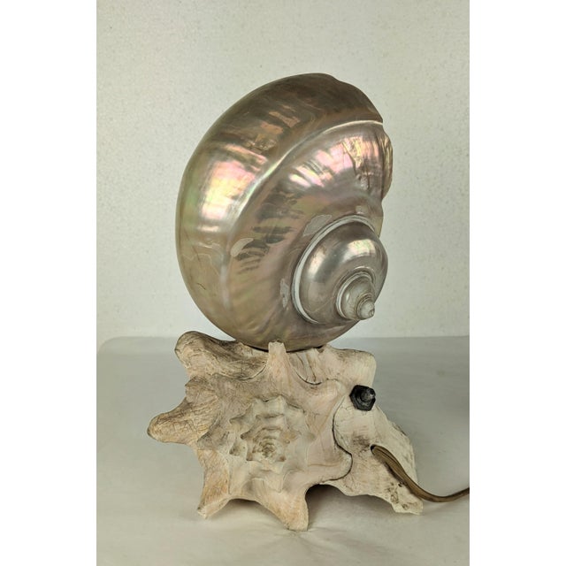 1940s Deco Nautilus and Conch Shell Lamp For Sale - Image 5 of 11