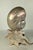 1940s Deco Nautilus and Conch Shell Lamp For Sale - Image 5 of 11