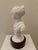 Vintage 1960s Italian White Glazed Ceramic Neoclassical Bust on Wood Base For Sale - Image 4 of 8