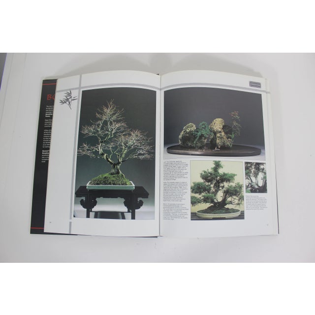 1989 Bonsai the Art of Growing and Keeping Miniature Trees Book Hard Cover For Sale - Image 6 of 8