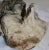 White Midcentury Concrete Statue of Baby Holding Bunnies For Sale - Image 8 of 10