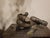 Mid 20th Century Solid Cast‑metal Ram Sculpture For Sale - Image 5 of 12
