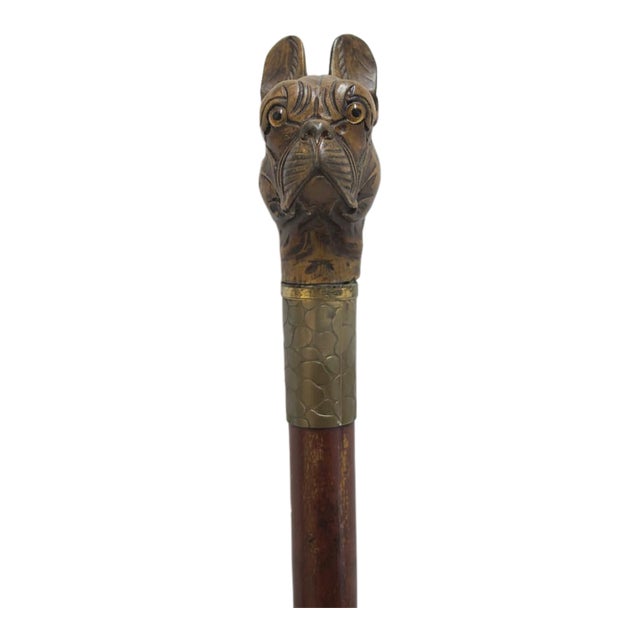 Victorian Bulldog Dog Head With Realistic Eyes Carved Wood Walking Stick Cane For Sale