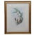 Antique John Gould Ornithological Myiabeillia Hummingbird Lithograph Print For Sale - Image 11 of 11