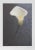 Contemporary Harvey Edwards, Solo Flower, Offset Lithograph For Sale - Image 3 of 3