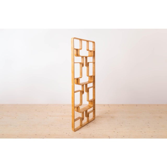 Wall Unit by Ludvig Volak for Drevopodnik Holesov, Former Czechoslovakia, 1960s For Sale - Image 4 of 10