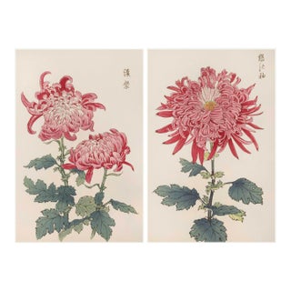 Pink Chrysanthemum Diptych, Vintage Japanese Botanical Art Print (Set of 2), 20" X 30" For Sale