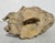Mid 20th Century Richard Hess Terra Cotta Sculpture MCM Germany For Sale - Image 5 of 14