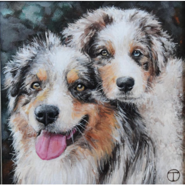 Farmhouse Australian Shepherds Dog Portrait Painting Including the Antique Black & Silver Wood Frame For Sale - Image 3 of 6