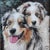 Farmhouse Australian Shepherds Dog Portrait Painting Including the Antique Black & Silver Wood Frame For Sale - Image 3 of 6