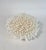 Late 20th Century Natural Table Coral Specimen Coastal Decor For Sale - Image 5 of 5
