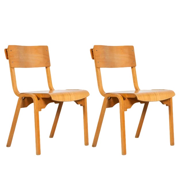 Set of School Chairs by Stafford for Tecta UK, 1970 For Sale