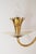 Crystal and Brass Wall Sconce with Glass by Lightolier, 1950s For Sale - Image 16 of 18