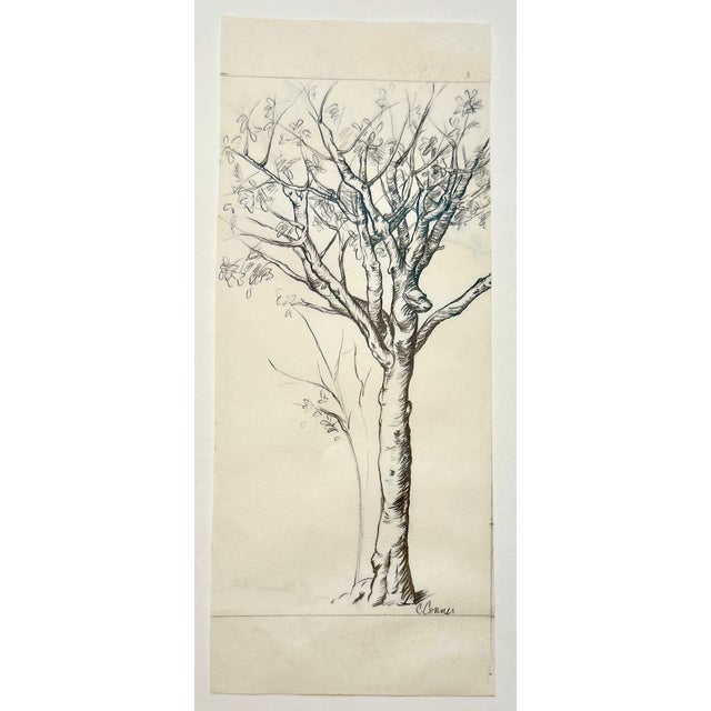 One original pencil drawing of a tree that I drew in preparation for an ink print in 1982. Approximately 5 x 10 inches ....