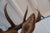 Brown Elk Trophy Head & Shoulder Mount For Sale - Image 8 of 17
