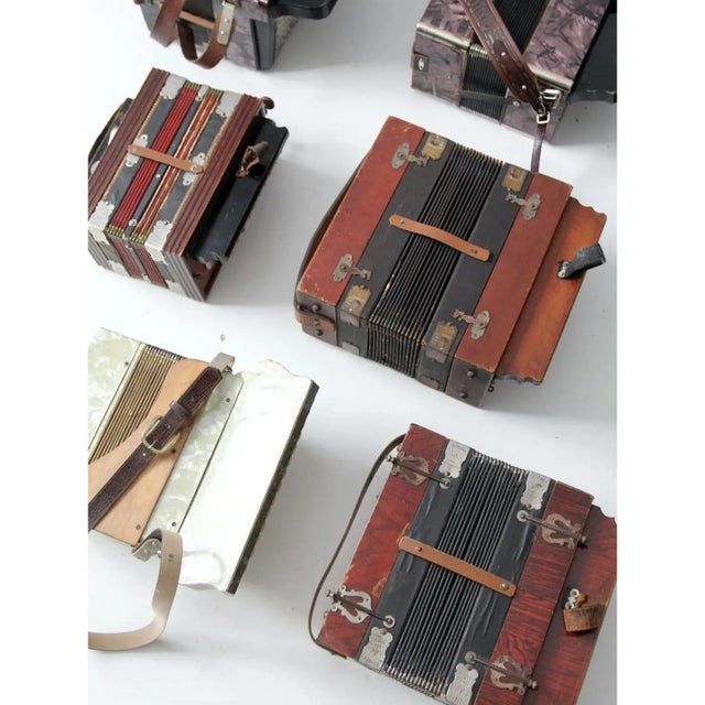 Vintage Accordion Collection - Set of 8 For Sale - Image 9 of 12