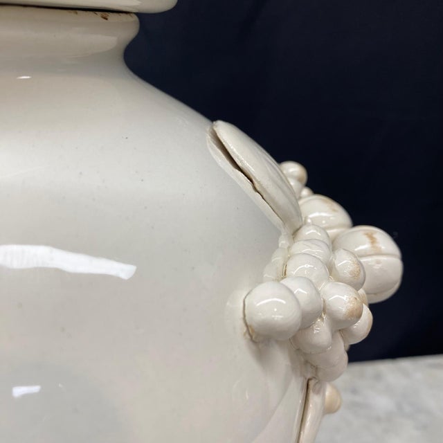 White Large Antique Italian Pair of White Ceramic Apothecary Style Urn Vases -a Pair For Sale - Image 8 of 12